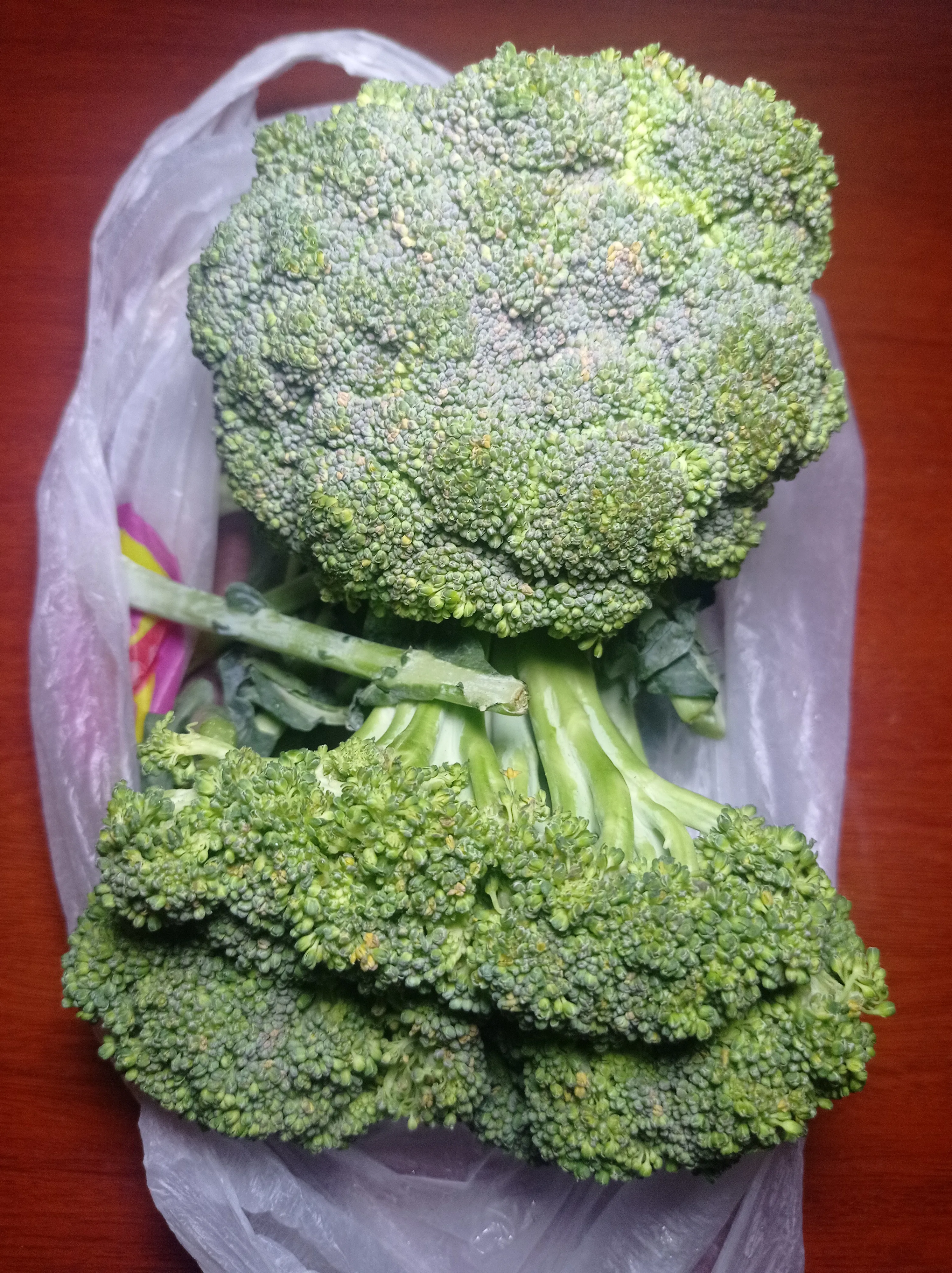 Close-up of a broccoli head's tightly packed green florets, SarKaLay, Wikimedia Commons, CC0