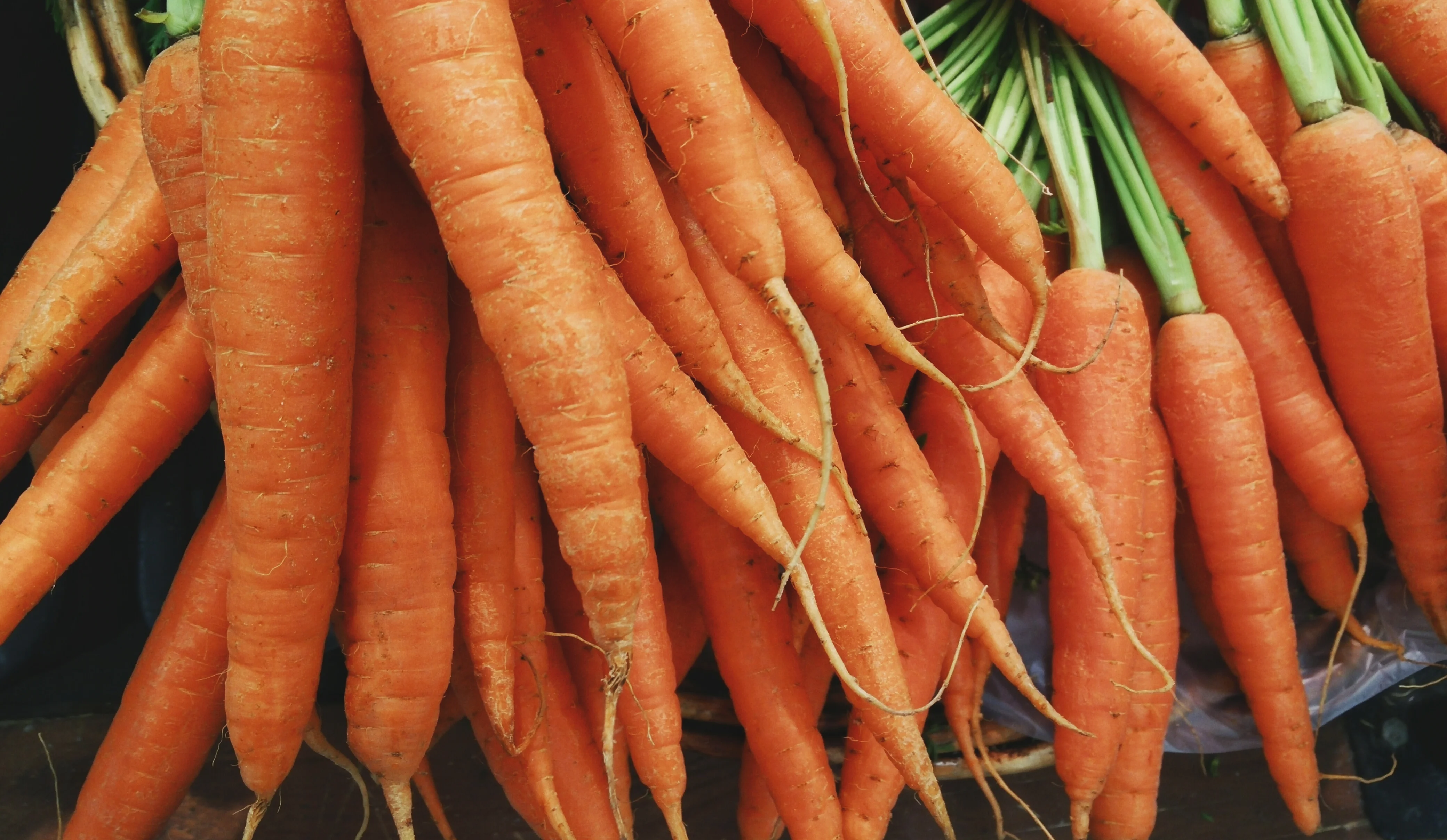 Zanahorias orgánicas frescas con las copas verdes todavía pegadas, CC0 vía Harshal Hirve, Wikimedia Commons